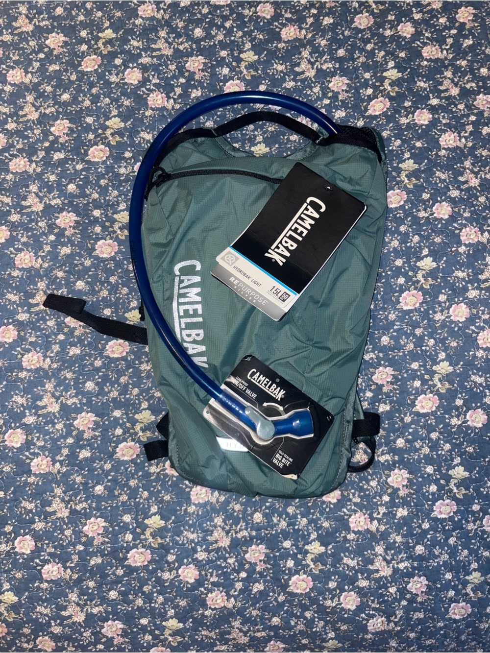 CamelBak Hydration Backpack in Teal/Blue